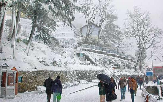 1467787861_1dal 2.jpg